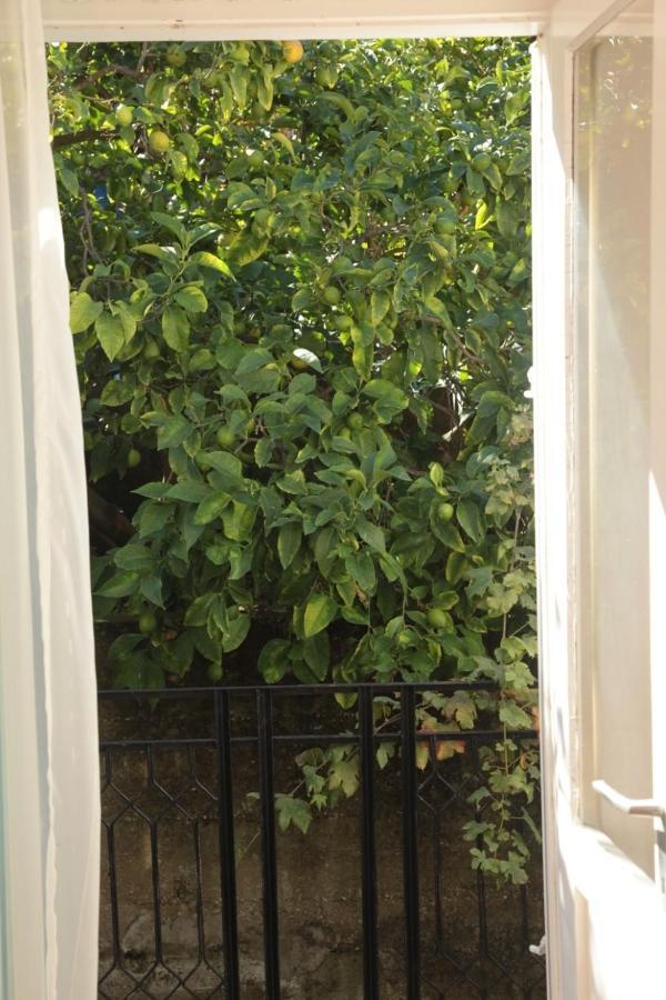 App And Rooms Tereza - In Center Korcula Town Bagian luar foto